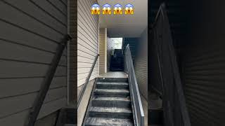 Super Intelligent Robot Dog Climbing Stairs😱😱subscribeshortsrobot [upl. by Wulf]