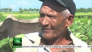 Finca ¨El Renacer¨ Ejemplo de agricultura sostenible en Cuba [upl. by Yatnuahc848]