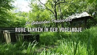 60 Sekunden Pellworm Ruhe tanken in der Vogelkoje [upl. by Mall]