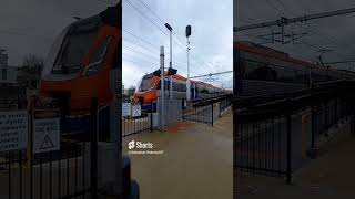 Adelaide Metro 4003 departs Ovingham shorts seb train train adelaidemetro fypシ゚viral 4upage [upl. by Orella]