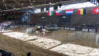 Master AFET  Equita Lyon 2023  Ranch sorting  Finales [upl. by Justine]