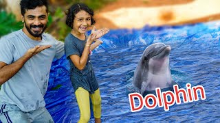 Dolphin വീട്ടിലെത്തി 😍 New Dolphin at Home [upl. by Atikal261]