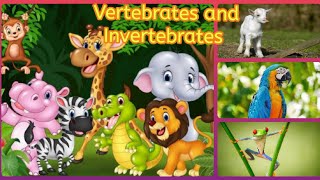 Classification of animals  Vertebrates and Invertebrates [upl. by Mikah]