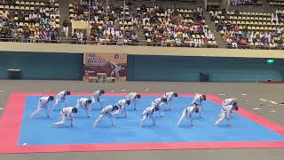 Kukkiwon Taekwondo Demonstration Performance  8 [upl. by Aerua]