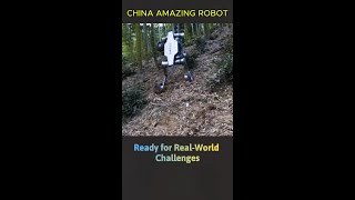 China AMAZING ROBOT  Inno Spark [upl. by Mitzl]