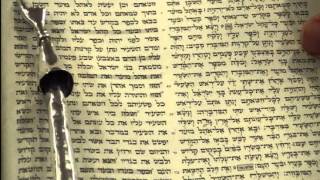 Yom Kippur Torah Reading Rabbi Weisblum יום כיפור קריאת תורה הרב ויסבלום [upl. by Olecram64]