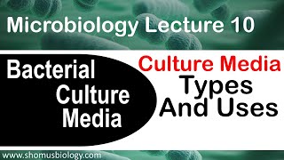 Microbiology lecture 10  bacterial culture media classification types and uses [upl. by Yelrah486]