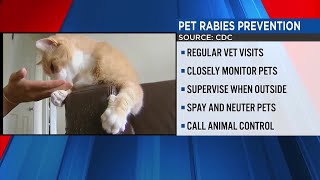 Multiple people dozens of animals exposed to 2 rabid animals in Pickens Co [upl. by Dnalra]