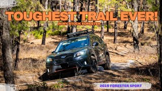 Toughest trail ever Lets take the Subaru Forester offroad and see what it can do [upl. by Ahsai]