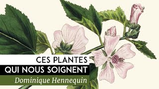 Ces plantes qui nous soignent  Documentaire de Dominique Hennequin 2014 [upl. by Adiol]