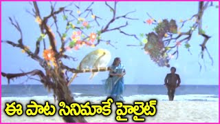 ఈ పాట సినిమాకే హైలైట్  Krishnam Raju Jayaprada Superhit Video Song  Parimalinchu Punnamilo Song [upl. by Gerrald]