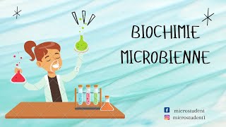 cour 1 partie 13biochimie microbienne  L3 microbio [upl. by Casia412]