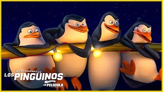 Pingüinos unidos 🐧  Los Pingüinos de Madagascar  DreamWorks Madagascar en Español Latino [upl. by Hinson]