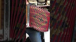 Zupan Alpina IV D Slovenian Accordion [upl. by Peonir592]