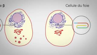 MOOC  Introduction à la biologie systémique de la cellule [upl. by Ahsinuq128]