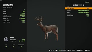 Whitetail deer  3Diamond  theHunter Call of the Wild 2023 11 23 [upl. by Rasure]