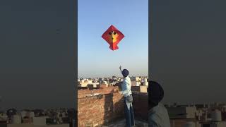 Kite flying 🔥 shorts youtubeshorts patang kite viralvideo sahilcarbo [upl. by Thorvald322]