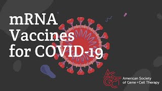 mRNA Vaccines for COVID19 [upl. by Ahsea]