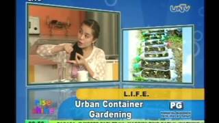 Urban Container Gardening [upl. by Ricardama]