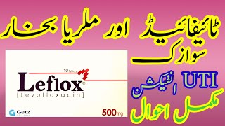 Leflox 500mg Capsule Uses in Urdu Levofloxacin Benefits medicine Sideeffects [upl. by Ellennoj]