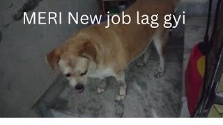 POLU US DIN SE BOHOT JADA DAR GEYA HAI  OR US DIN SE MERI NEW DUTY SHURU HO GYI HAI😆🐕💯✅youtube [upl. by Stevena848]