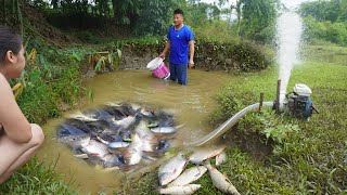 Video Fishing Technology  Cleverly use the pump to suck water in the wild lake Catch Many fish [upl. by Akcirret]