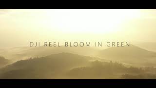 Bloom In Green Festival  DJI Reel by Sesky Kiddo [upl. by Jeannie]