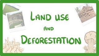 GCSE Biology  Land Use  Deforestation amp Peat Bogs 92 [upl. by Lusar]