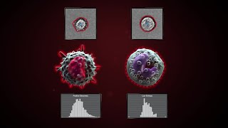 The Attune CytPix Flow Cytometer Enables You to Gain More Data with Automated Image Analysis [upl. by Boleslaw]