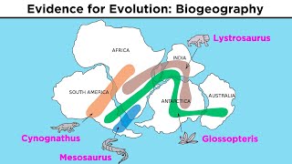 The Evolution of Populations Natural Selection Genetic Drift and Gene Flow [upl. by Hufnagel]