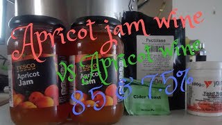 apricot wine vs apricot jam part 2 tasting [upl. by Avlasor]