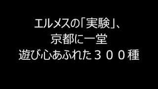 エルメスの「実験」、京都に一堂 遊び心あふれた３００種 [upl. by Erle]