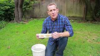 Nematodes for Lawn Grubs  NIC’s How to Apply [upl. by Atkins]