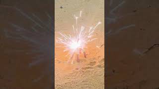 Bijli Bomb Amazing Experiment 🔥Diwali crackers Reaction and 🔥🎆Testing shorts shortvideo [upl. by Gentes379]