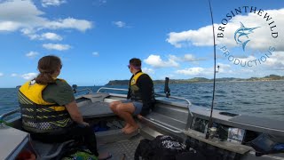 Coromandel Diving [upl. by Enohsal]