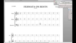 Fermatas in Every Part  Finale Superuser [upl. by Giovanni]