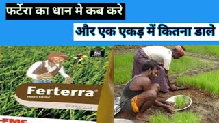 fmc ferterra insecticide धान के फसल में तना छेदक पत्ता लपेटक का खात्मा chlorontraniliprole 04 GR [upl. by Nilkoorb]