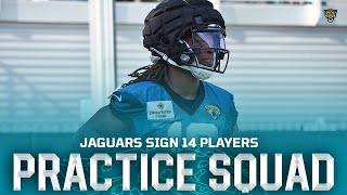 Jaguars Sign 14 Players to Practice Squad [upl. by Annekahs]