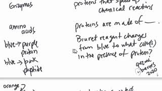 LowTech Gen Biology 1  classes of biological chemicals and biuret test [upl. by Eidderf192]