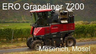 ERO Grapeliner 7200 Traubenernter an der Mosel [upl. by Strickler]