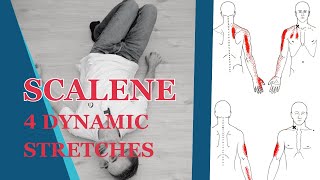 Scalene Muscles Stretch How To Use Post Isometric Relaxation PIR [upl. by Artimed]