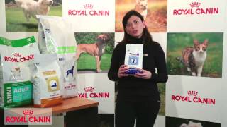 Salud Urinaria  Nutrición Royal Canin [upl. by Yared]