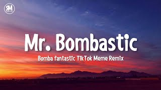 Mister Bombastic TikTok Remix Meme Song [upl. by Anahoj713]