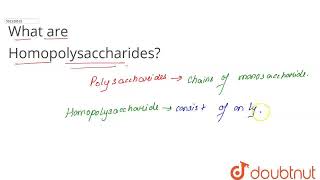 What are Homopolysaccharides  CLASS 11  BIOMOLECULES  BIOLOGY  Doubtnut [upl. by Surbeck]