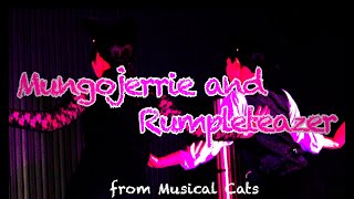 Mungojerrie and Rumpleteazer Musical【Cats】 [upl. by Lepp]