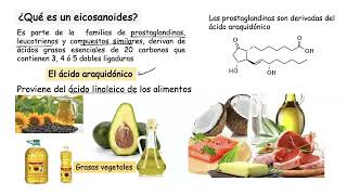 Procesos de la Hemostasia [upl. by Assereht944]