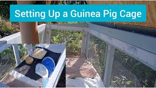 Setting Up a Guinea Pig Cage [upl. by Kenneth]