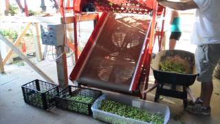 Small Scale Hop Harvester  Bine 3060 [upl. by Gow]