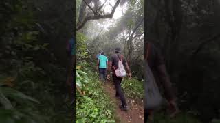 Agasthyarkoodam trekking 2024 booking [upl. by Ellehcim]