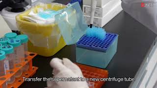 Laboratory Case Sharing DNA Extraction Using CTAB Method [upl. by Otsirc]